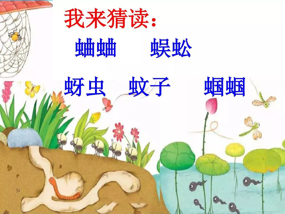 蜻蜓的蜻组词,蜻蜓的蜻组词两个字