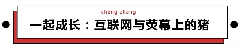 除了「猪事顺利」，猪年还能说哪些祝福语？快进来学几句吧！