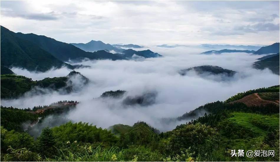 浙江松阳千年古村落，魂牵梦萦的世外桃源，附自驾路线攻略！