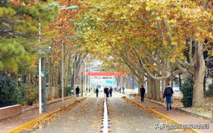 广西高考分数出炉！文科分数整体上升，来看看你能上什么大学