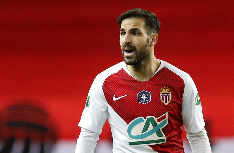 法布雷加斯老婆怀第三胎（啥情况？法布雷加斯：老婆不想再要孩子了，求推荐较长的电视剧）-华海博客