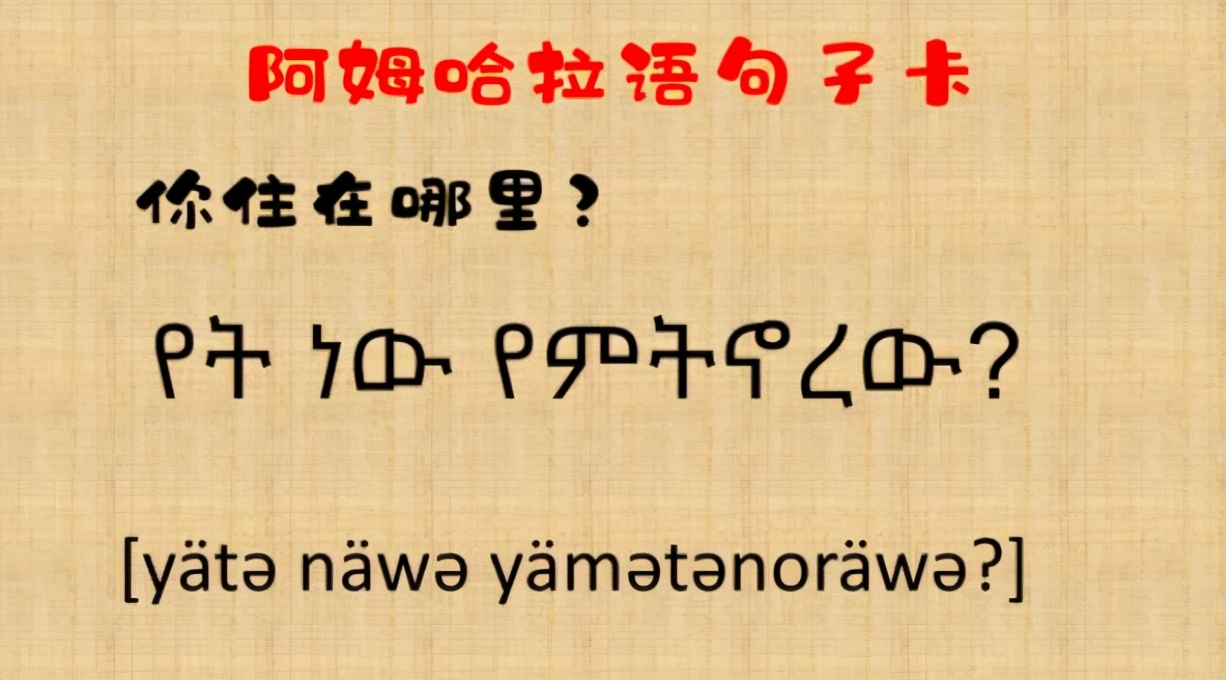 2021高考报考指南：毕业就是外交官的“小语种”专业，想试试吗？