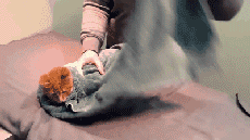 貓咪為啥會揍我？是我做錯了什么嗎？