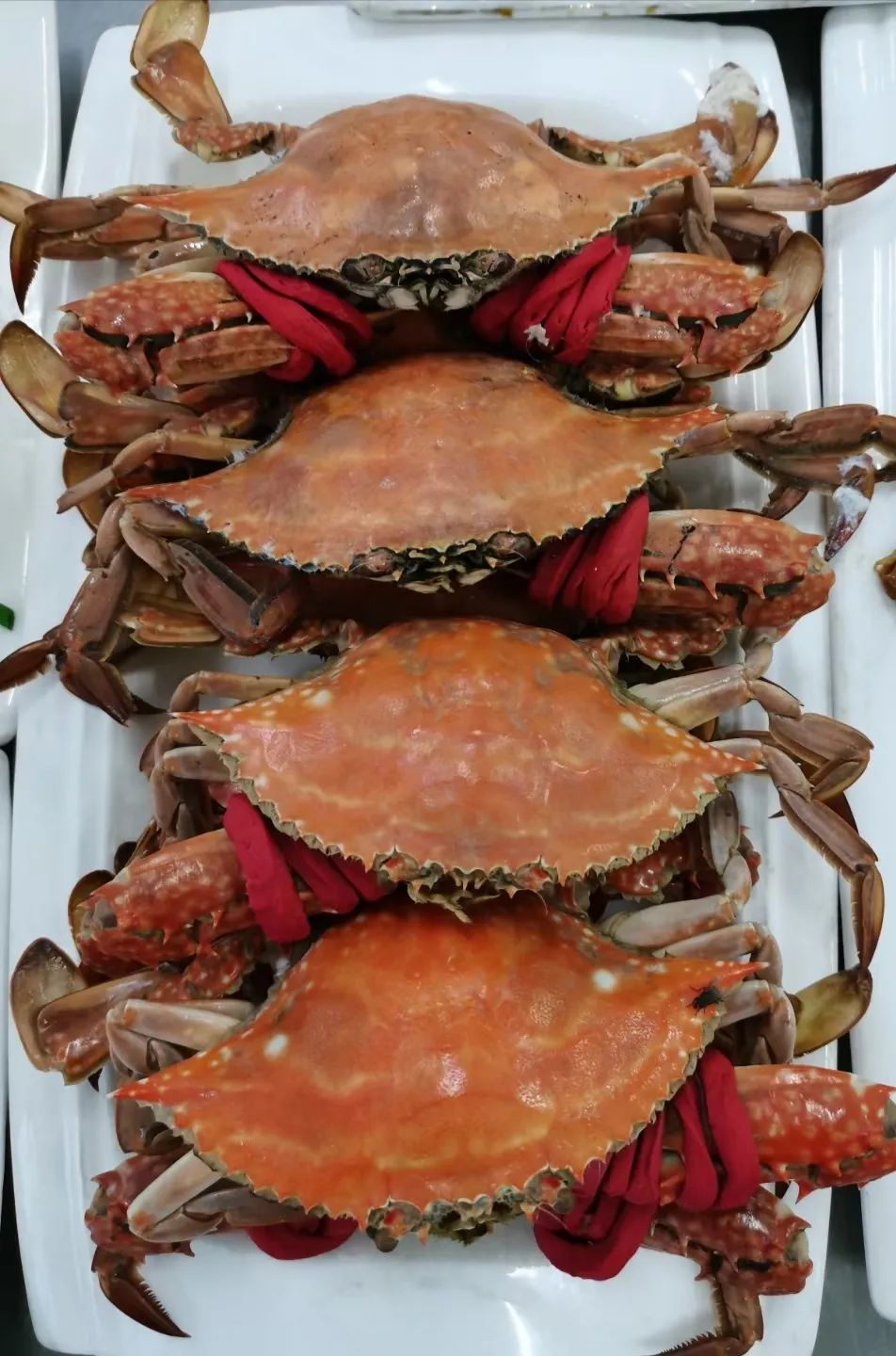 ��Ӫʳ�����£���ε�71���ž�����Ұ��ʦ���ֲ�������