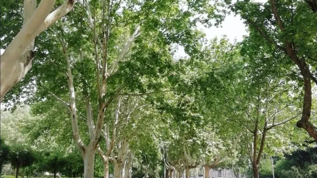 汇华学院进全国独立学院排名前十！今年首次专接本招生