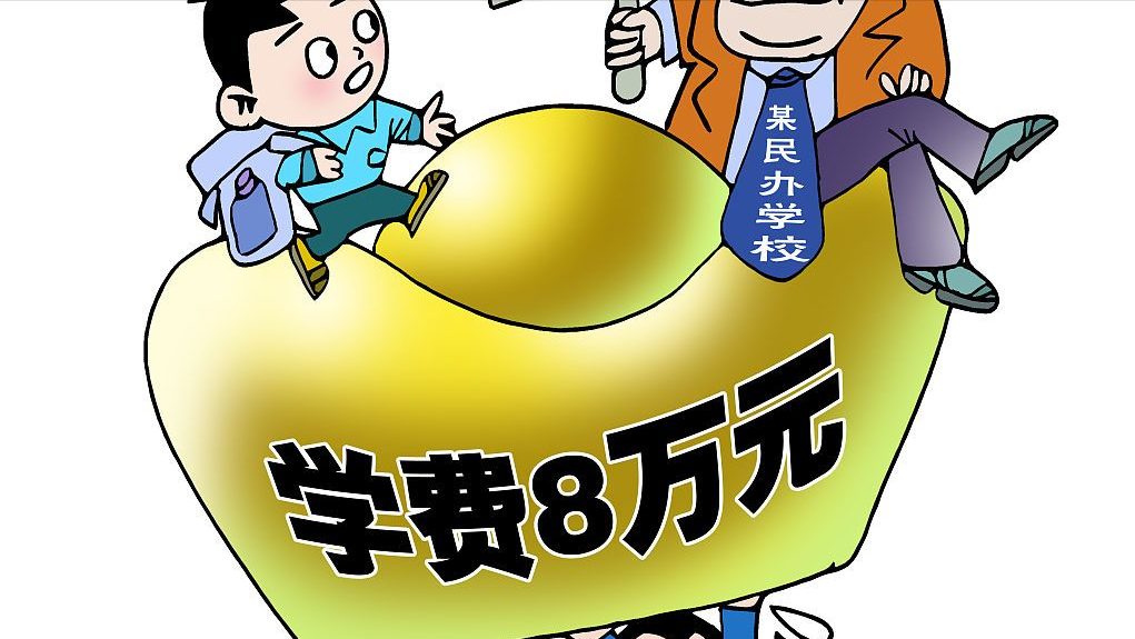 民办学校一年收费数万元，家长仍趋之若鹜！免费公办学校不香吗？
