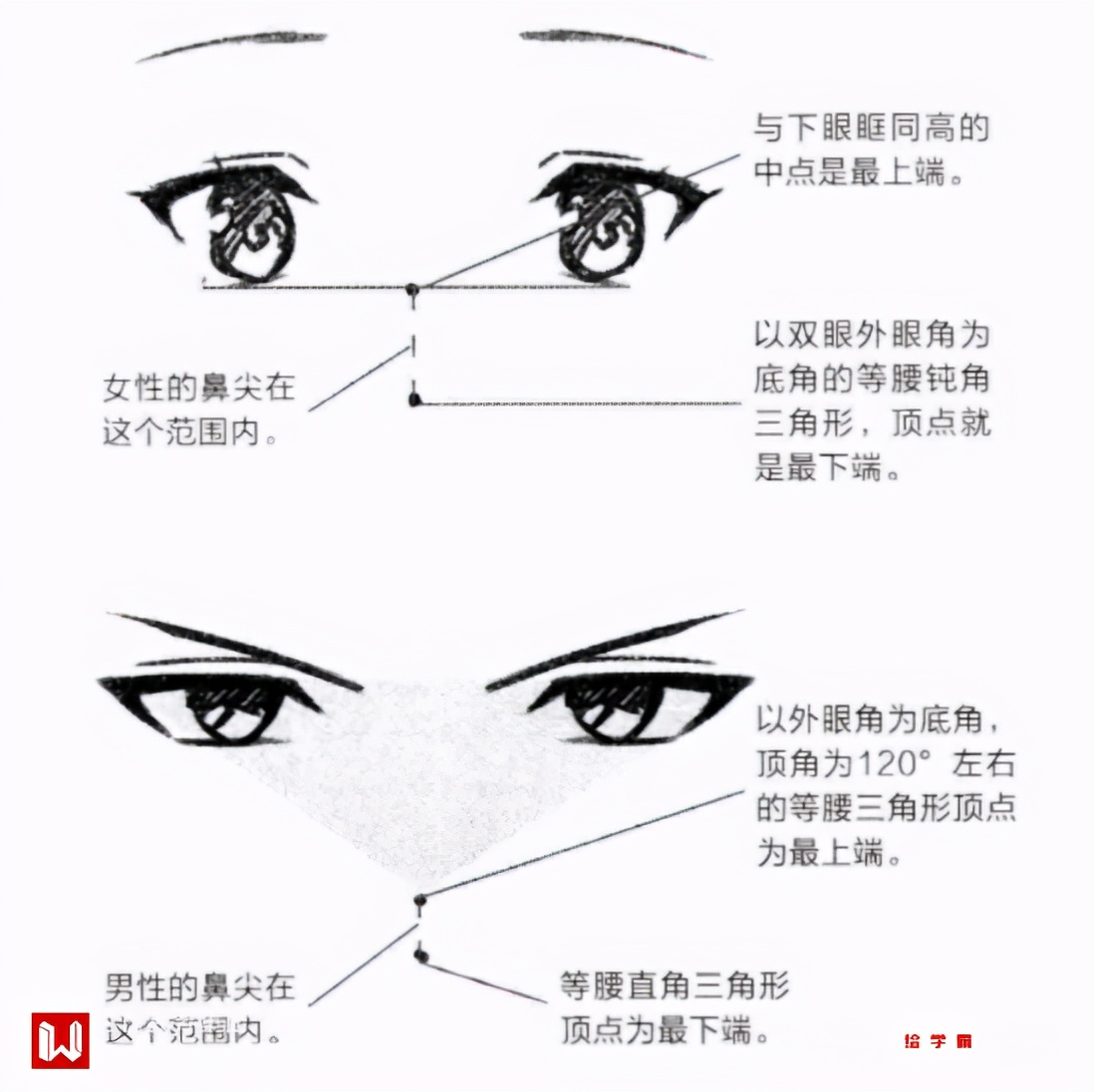 漫画鼻子怎么画简单又漂亮？鼻子动漫画法