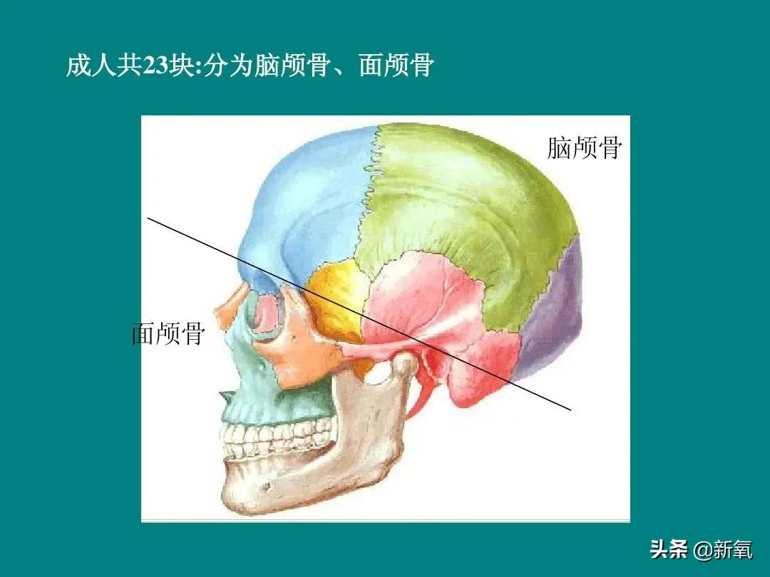 最像外星人的异色美人，过目不忘