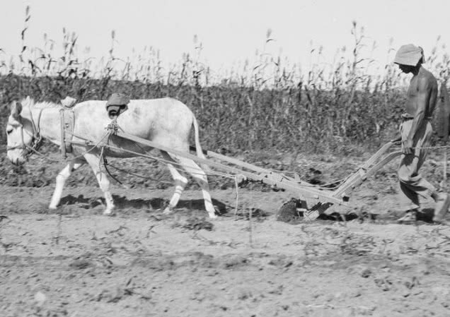民国农村奇案：新婚银匠夫妻引发连环凶杀，真相错综复杂扑朔迷离