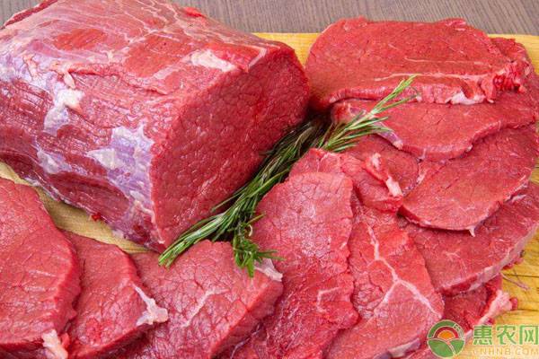 今日牛肉价格多少钱一斤？（附2020最新牛肉价格行情走势）
