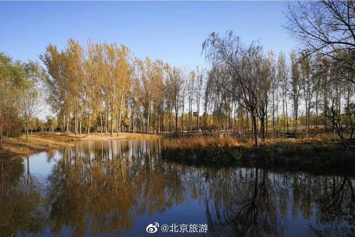 北京旅游点有哪些景点(中国旅游点有哪些景点)