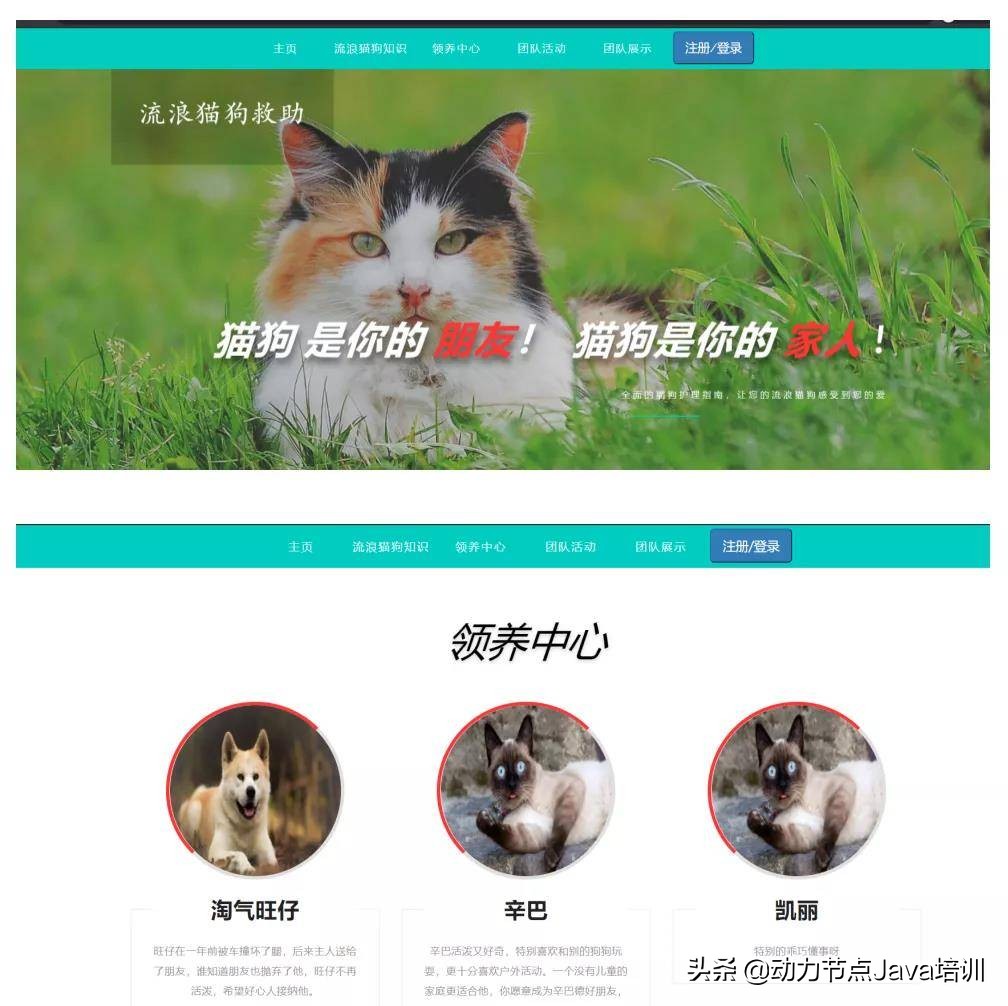 优秀！2021年全新的25套Java毕业设计项目，任你挑