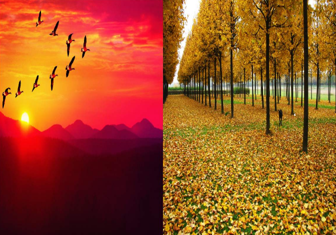 关于秋天的绝美诗词，只服这18首！最后一首与众不同