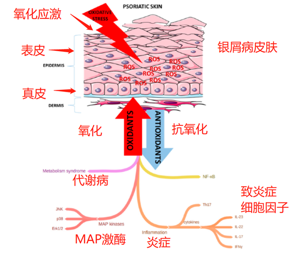 银屑病（下篇）：生物制剂和营养素