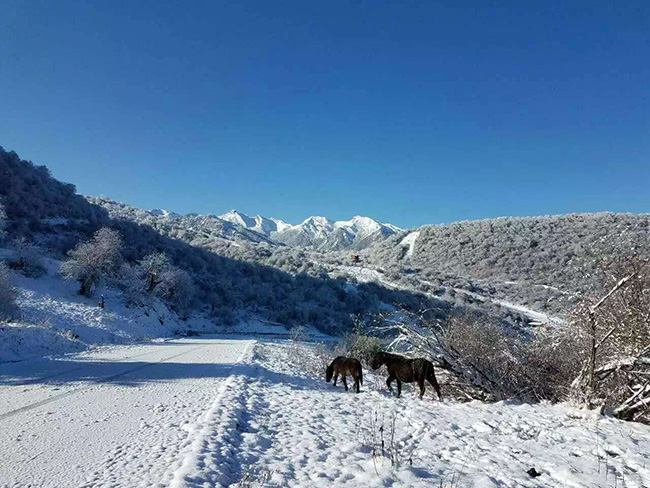 冬天旅遊必去十大景點_冬天去的景點 - 密雲旅遊