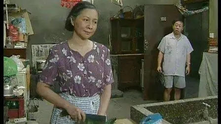 评分最高的十大情景喜剧，《爱情公寓》垫底，《家有儿女》仅第5