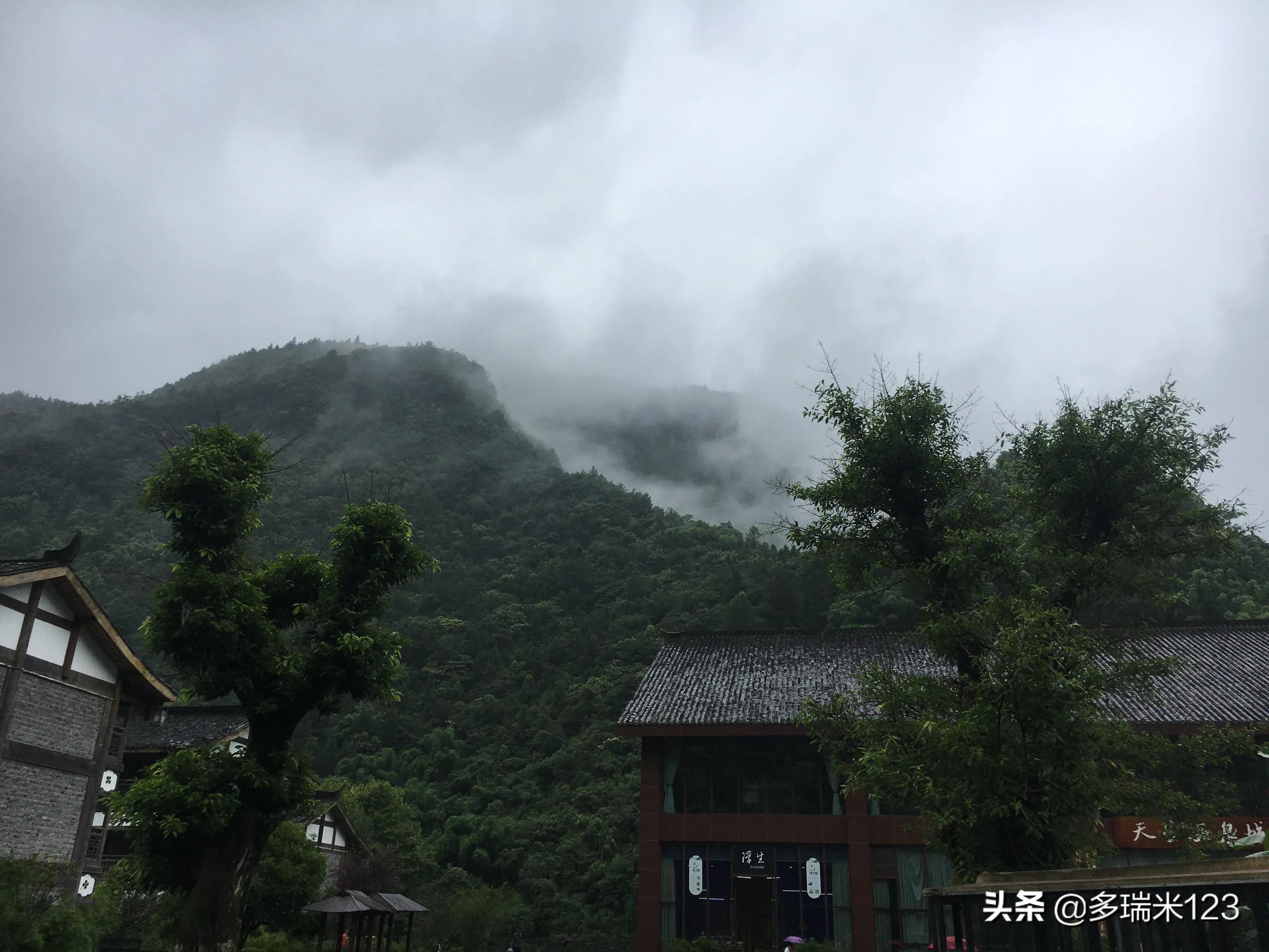 金佛山天气预报(24小时实时天气金佛山)