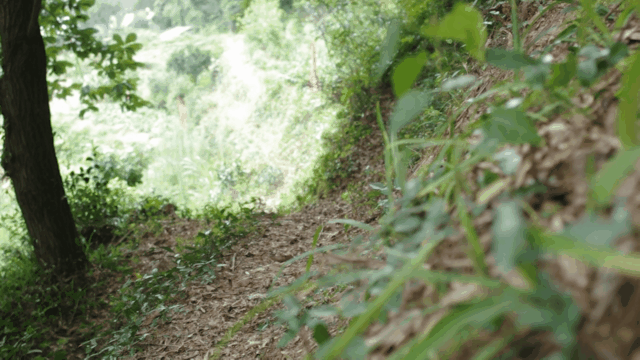 从灵敏反馈到舒适保护，各种类型越野跑鞋亲身推荐
