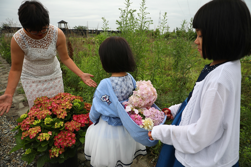 种花12年，她为女儿打造2000平“童话世界”，137万人跟她看春天