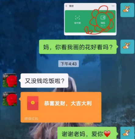 要钱图片(大学生找父母要生活费走红) - 赤虎壹号