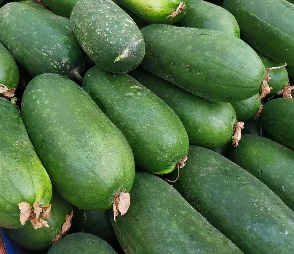 白皮冬瓜(买冬瓜时,黑皮好还是青皮好?