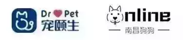 宠物知识丨宠颐生狗狗健康问答(14)解答你的爱宠难题