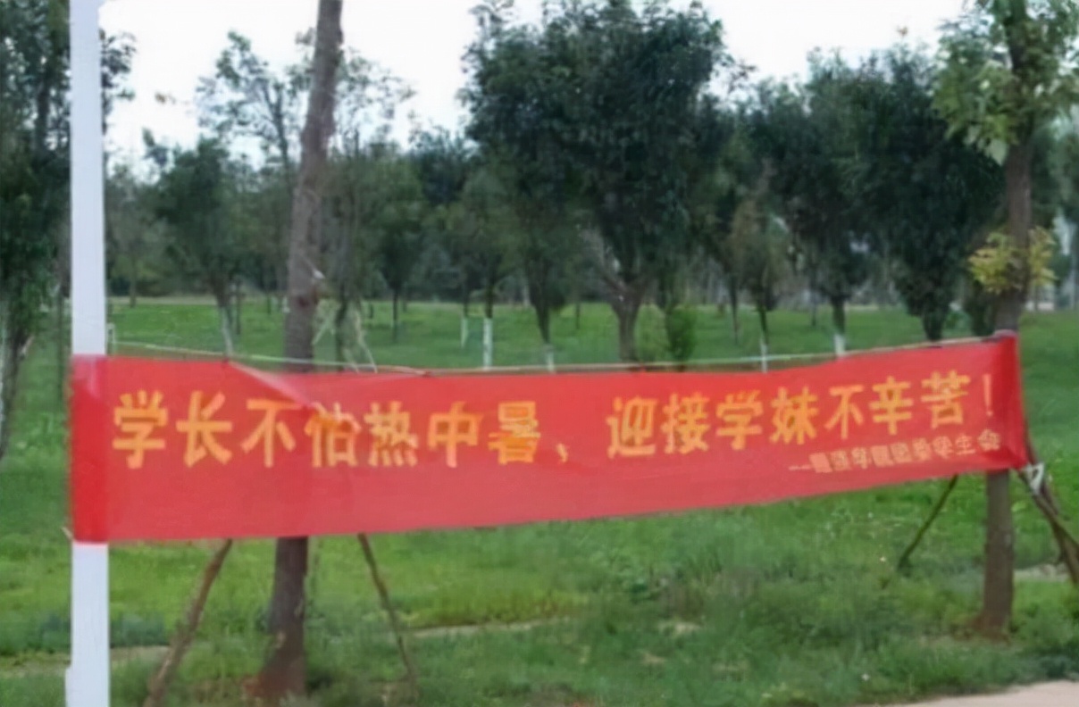 大学迎新标语叫人眼前一亮，安徽财经大学新生表示，这也太朴实了