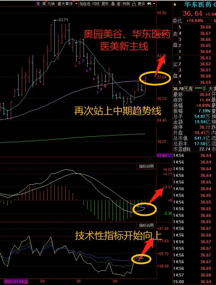 整形医院人满为患，医美龙头爱美客、华东医药、奥园美谷新的机会