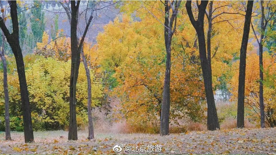 北京旅游点有哪些景点(中国旅游点有哪些景点)