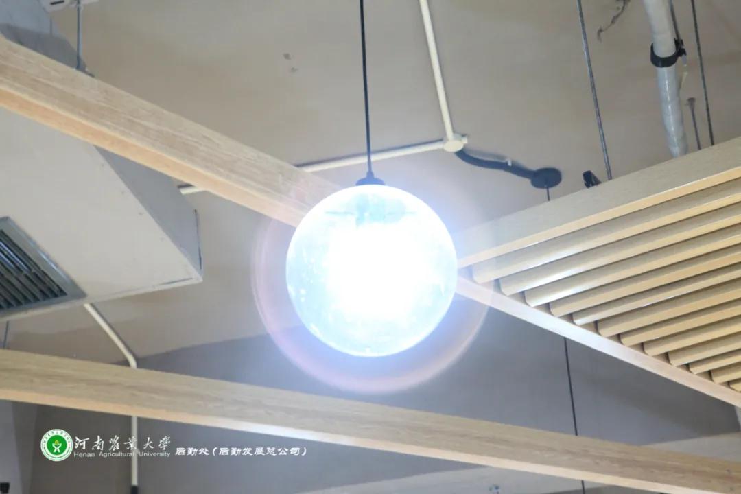 美美美，14000㎡等你发现，农大餐厅焕新啦