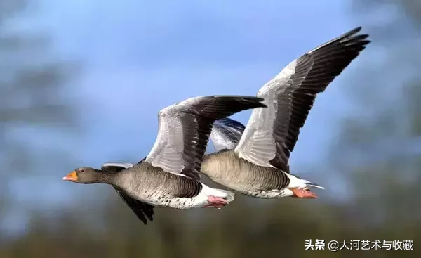 雨水：天街小雨润如酥