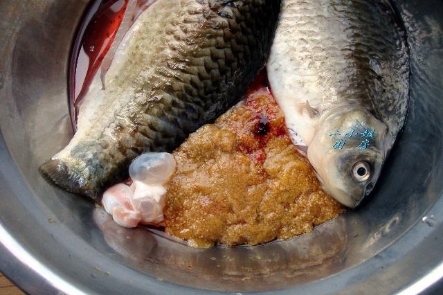 但是并不是所有的鱼籽都能食用哦,比如常见的河豚,鲶鱼的鱼籽是不能