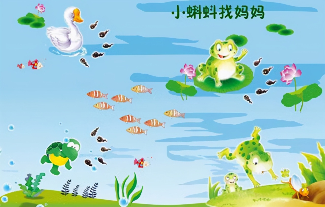 课文呈现了青蛙生长过程的科学知识,蕴含了从小要能独立生活,遇事主动