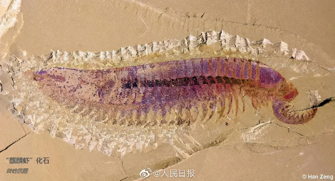 中国最新富豪榜发布 | 河北唐山市滦州市发生2.0级地震