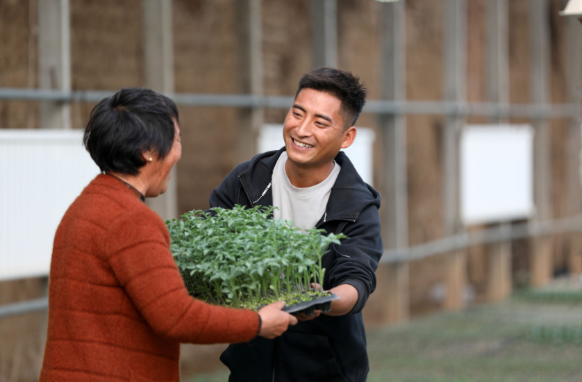 “回不去农村挤不进城市”，农村大学生的辛酸，真是现实且扎心