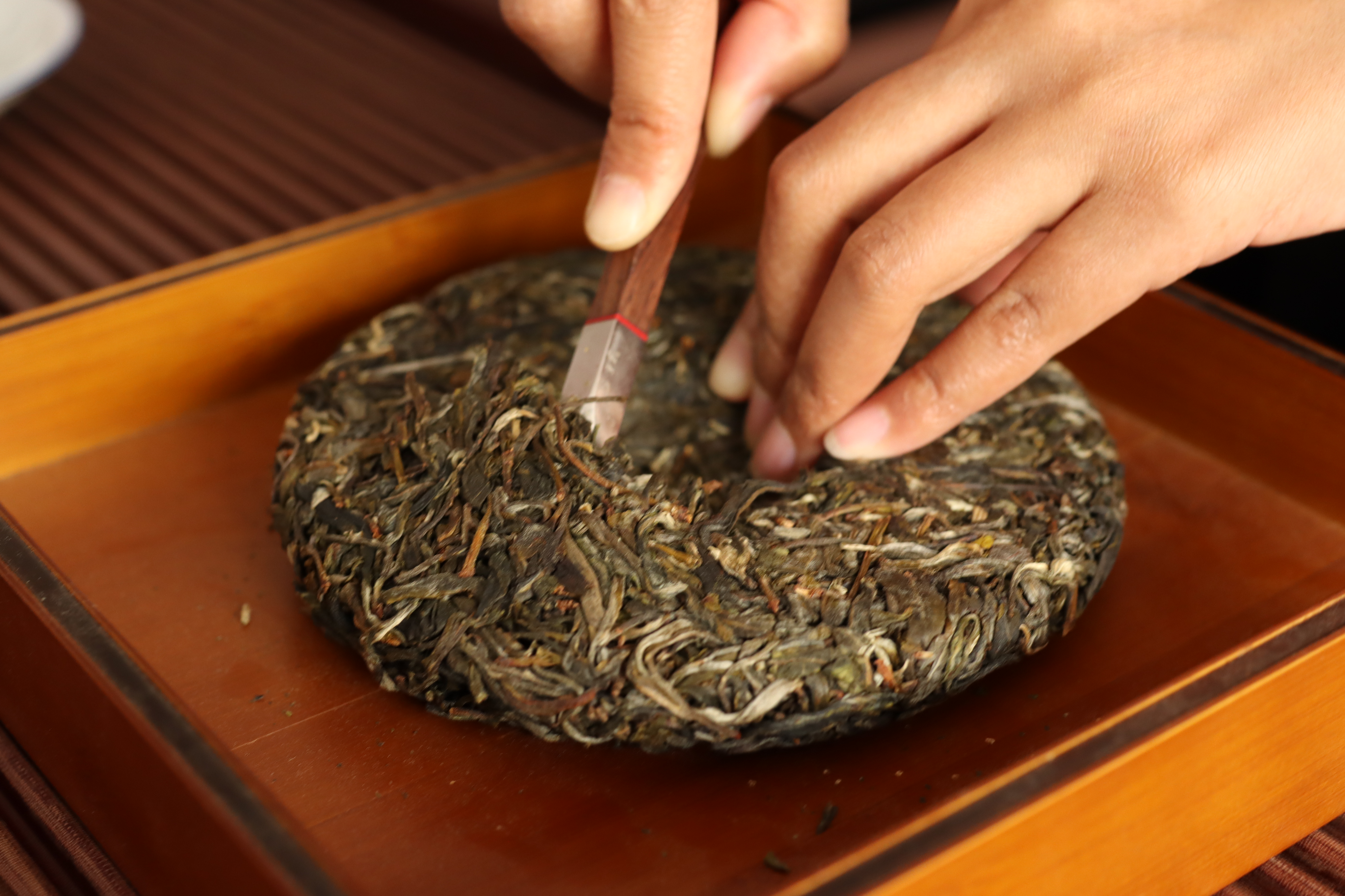 普洱茶如何正确把握投茶量?