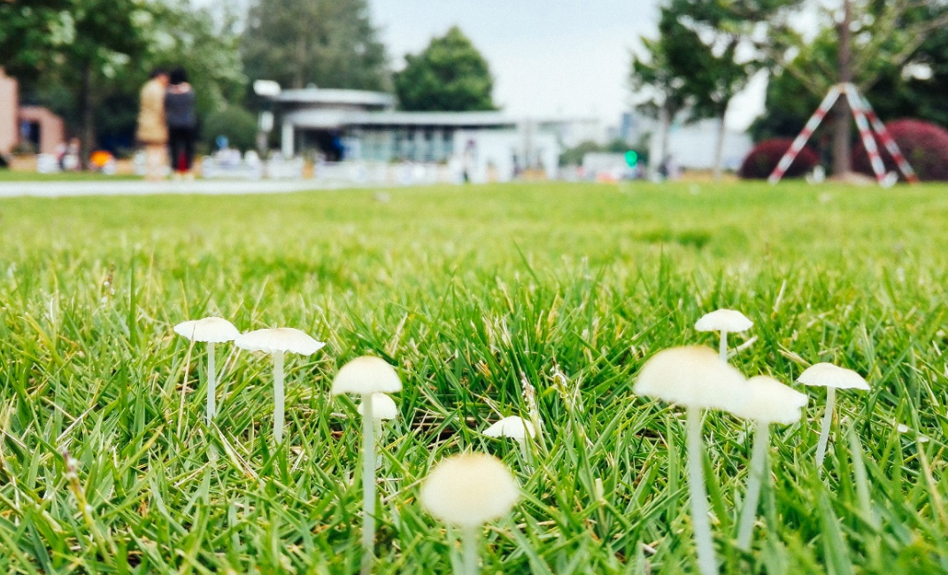 高考分数只够二本，可以考虑这3所独立学院，都拥有985师资