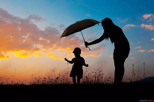 “轮椅上的学霸”矣晓沅：身残志坚679分上清华，用知识改变命运(知识改变命运的故事)