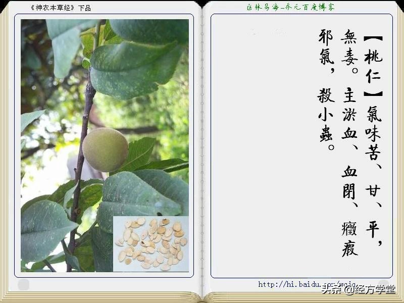 《神农本草经》全册图文解析 建议收藏