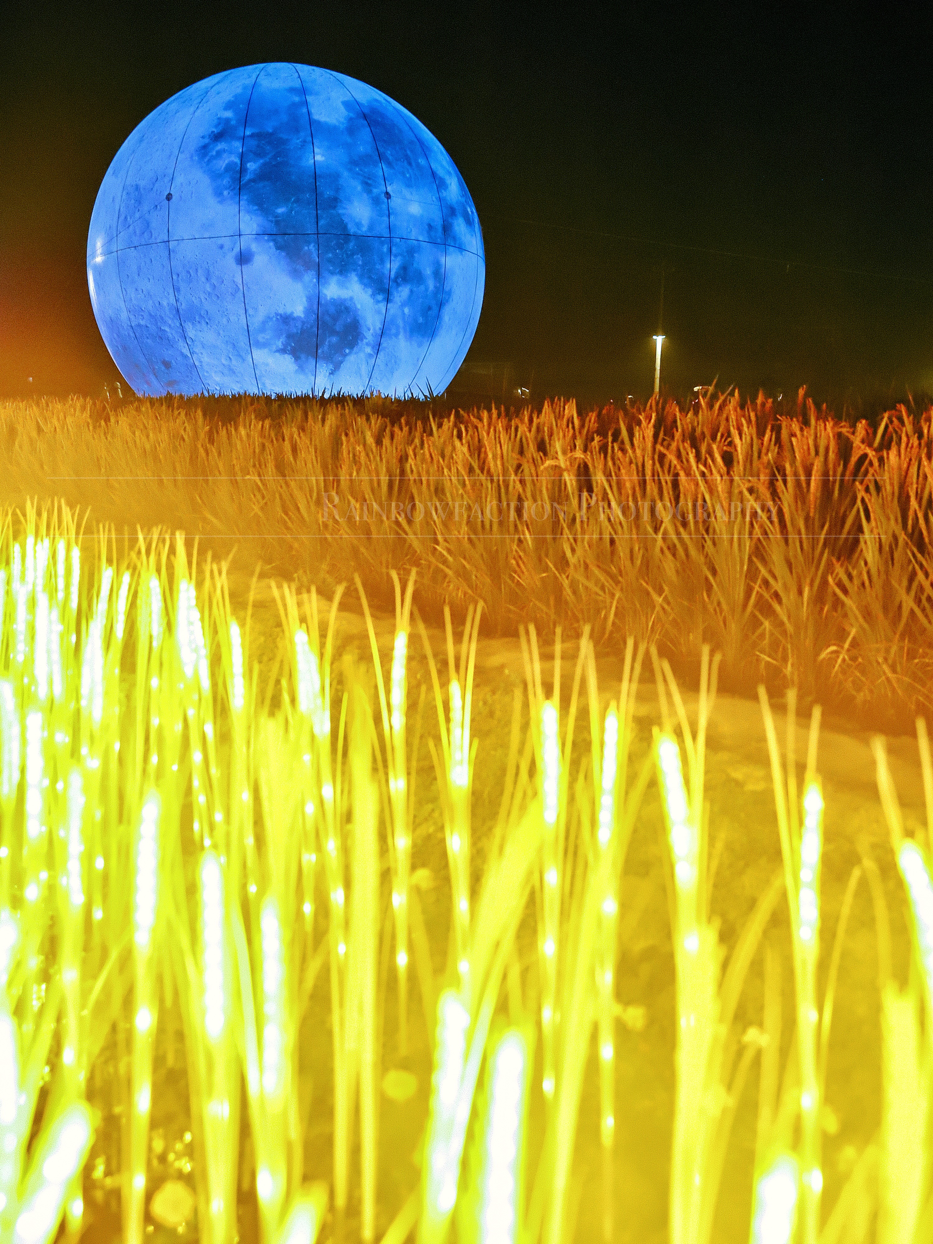 北京出发2小时，超美稻田免费玩～再不去后悔一年