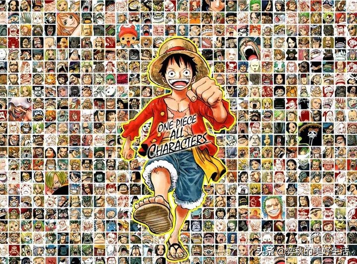 海贼王人物有什么(海贼王有啥人物) - 盾灵网