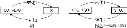 海水吸收二氧化碳的化学方程式（海洋吸收二氧化碳过程中发生的变化）