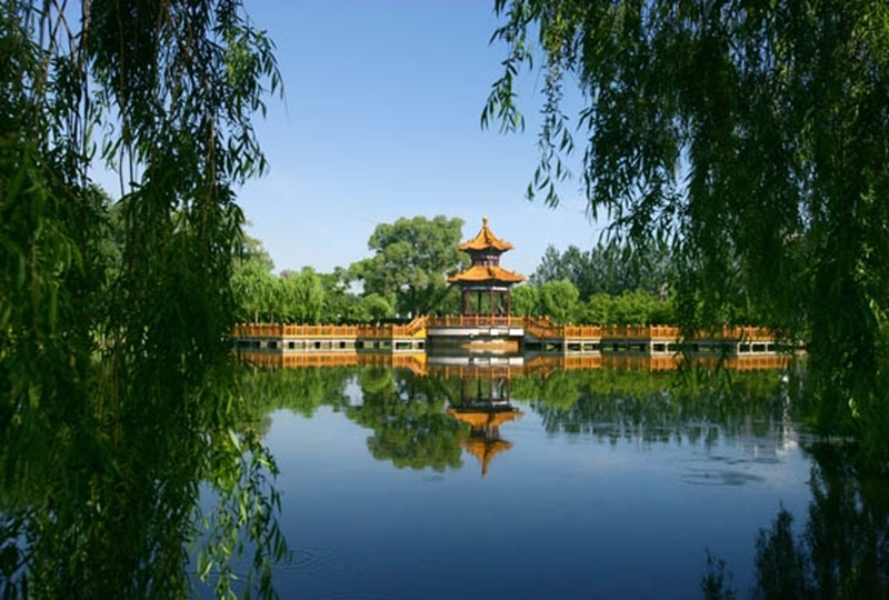 艺考录取分数线速递！7月21日5所大学的艺术类专业录取成绩公布