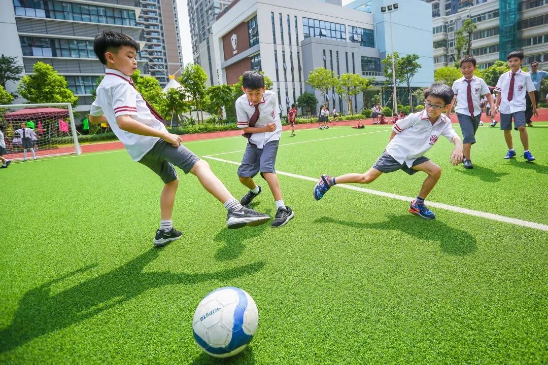 深圳南山国际学校是怎么样的一个学校？