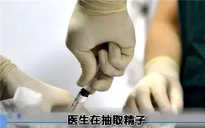 做试管婴儿全过程，看完真的心疼女性一万遍！