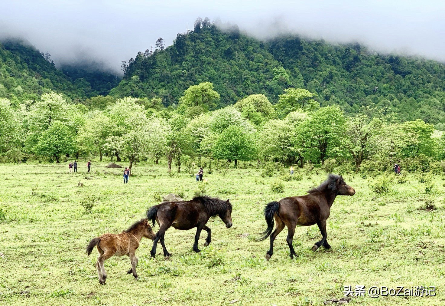 到四川乐山市旅游不能错过的10个景点，你去过几个？最爱哪个景点