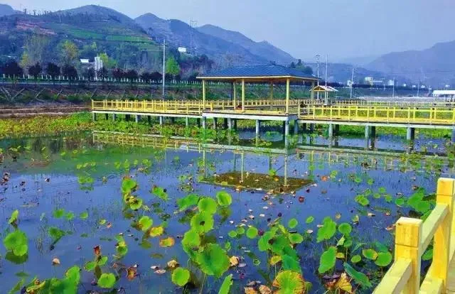 西安周边游 | 这八大美丽乡村太有魅力了,你去过几个?