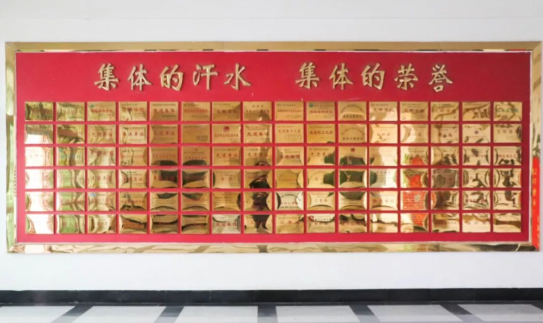 泉州这所中学，办过世界级比赛，还有独立露天游泳池？！厉害了！