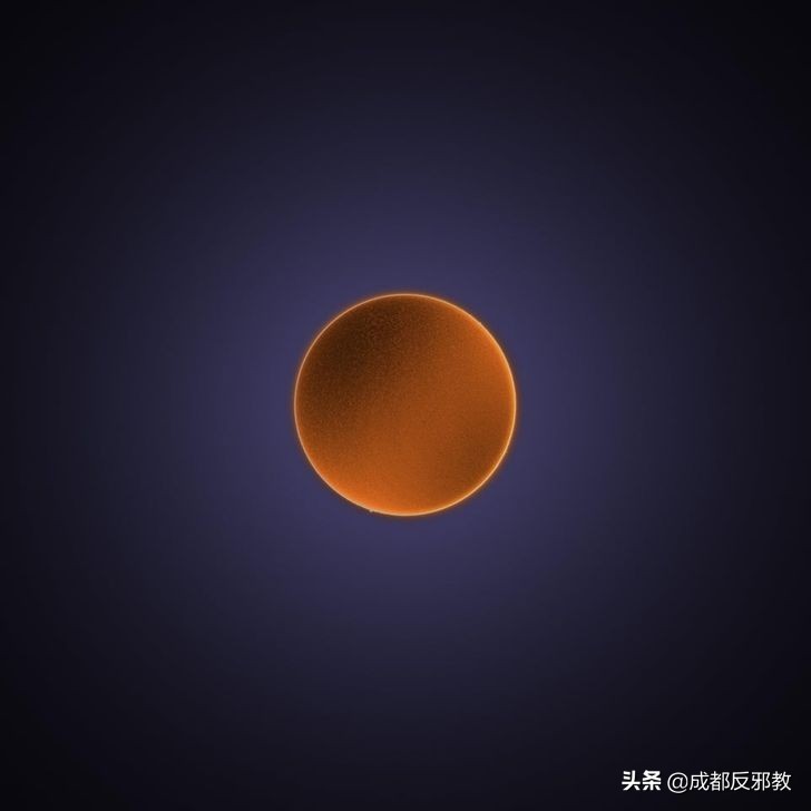 可能你没见过的新奇事情