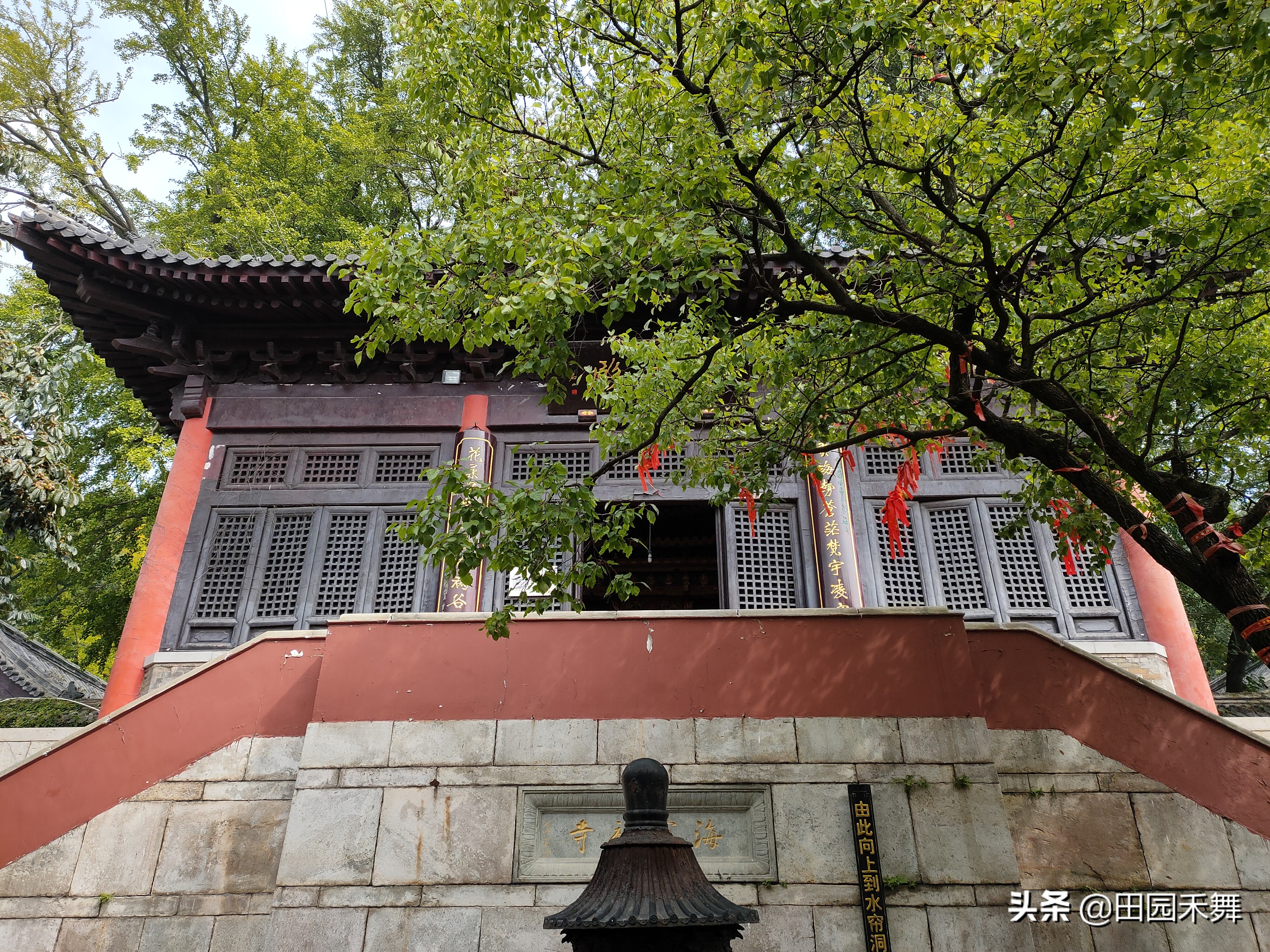 连云港花果山三元宫海宁禅寺,古树参天,建筑庄严雄伟